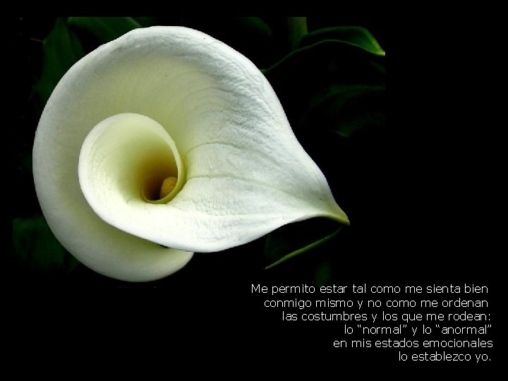 Me permito estar tal como me sienta bien conmigo mismo y no como me Me permito estar tal como me sienta bien conmigo mismo y no como me