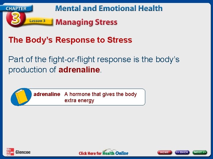 The Body’s Response to Stress Part of the fight-or-flight response is the body’s production