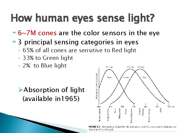 How human eyes sense light? 6~7 M cones are the color sensors in the