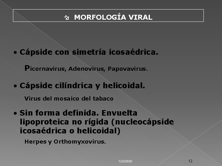  MORFOLOGÍA VIRAL • Cápside con simetría icosaédrica. Picornavirus, Adenovirus, Papovavirus. • Cápside cilíndrica