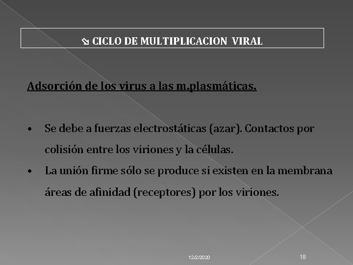  CICLO DE MULTIPLICACION VIRAL Adsorción de los virus a las m. plasmáticas. •