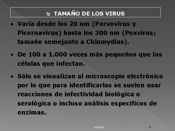  TAMAÑO DE LOS VIRUS • Varía desde los 20 nm (Parvovirus y Picornavirus)