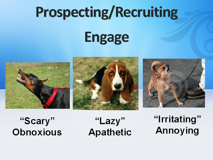 Prospecting/Recruiting Engage “Scary” Obnoxious “Lazy” Apathetic “Irritating” Annoying 