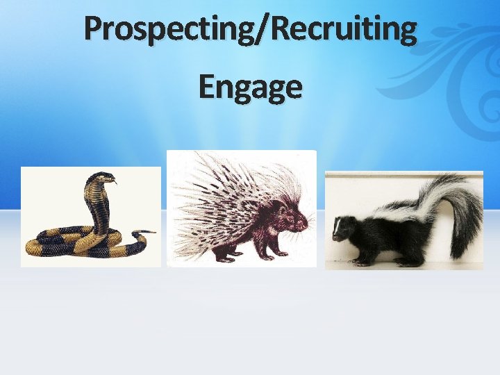 Prospecting/Recruiting Engage 