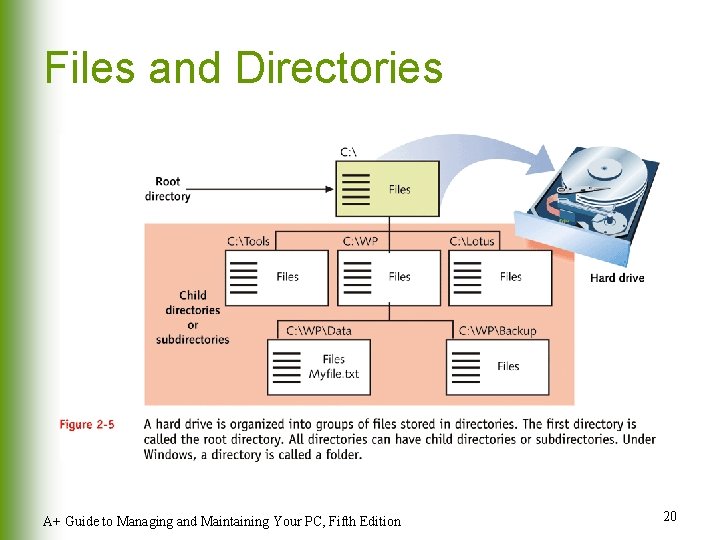Files and Directories A+ Guide to Managing and Maintaining Your PC, Fifth Edition 20 Files and Directories A+ Guide to Managing and Maintaining Your PC, Fifth Edition 20