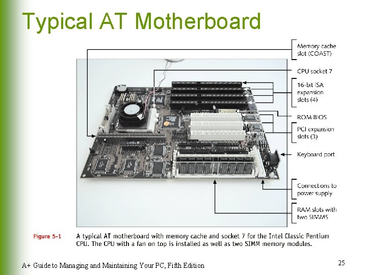 Typical AT Motherboard A+ Guide to Managing and Maintaining Your PC, Fifth Edition 25 Typical AT Motherboard A+ Guide to Managing and Maintaining Your PC, Fifth Edition 25