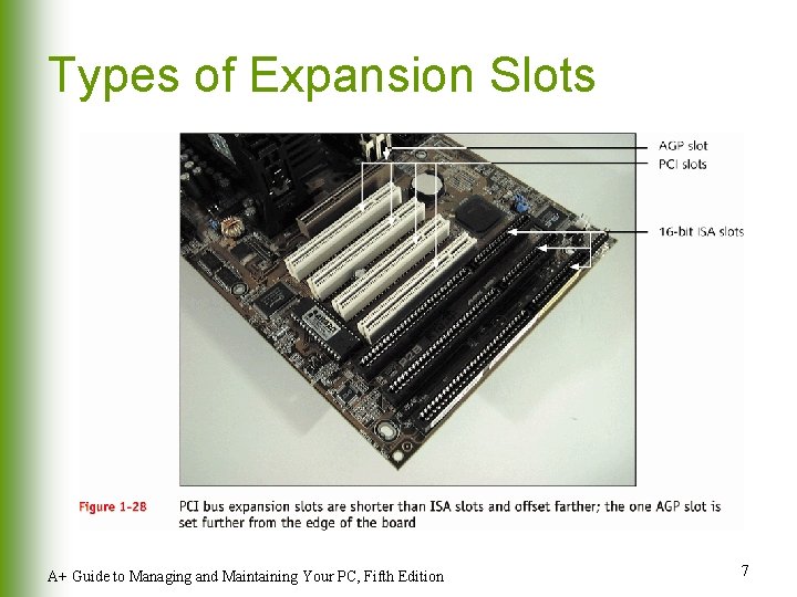 Types of Expansion Slots A+ Guide to Managing and Maintaining Your PC, Fifth Edition Types of Expansion Slots A+ Guide to Managing and Maintaining Your PC, Fifth Edition