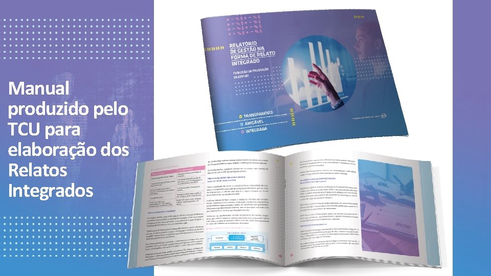 Manual produzido pelo TCU para elaboração dos Relatos Integrados 