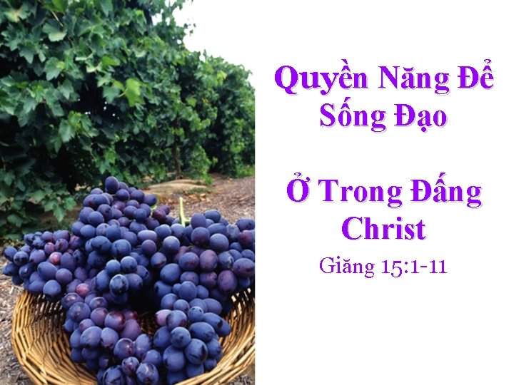 Quyền Năng Để Sống Đạo Ở Trong Đấng Christ Giăng 15: 1 -11 