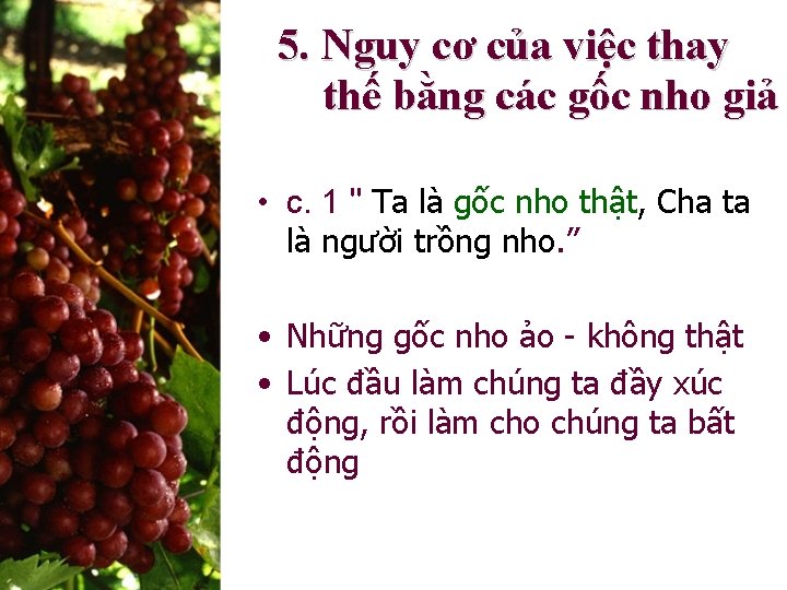 5. Nguy cơ của việc thay thế bằng các gốc nho giả • c.