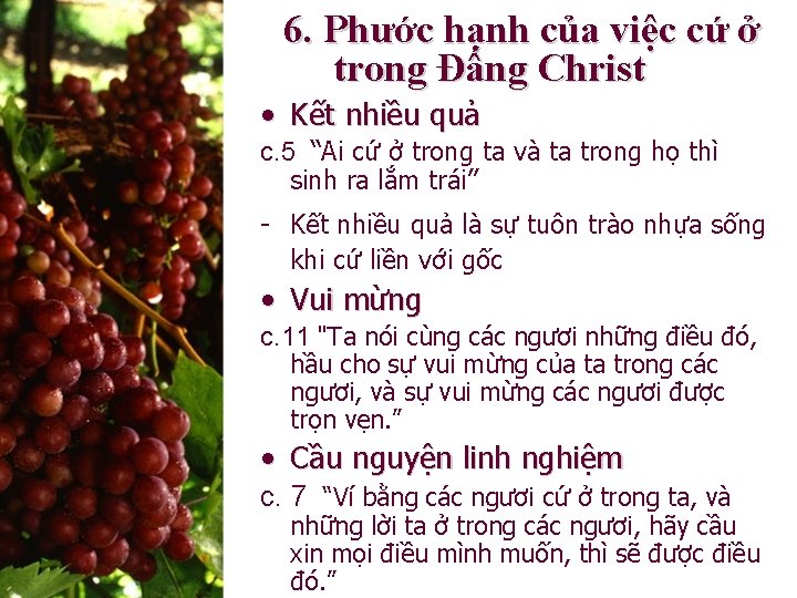 6. Phước hạnh của việc cứ ở trong Đấng Christ • Kết nhiều quả