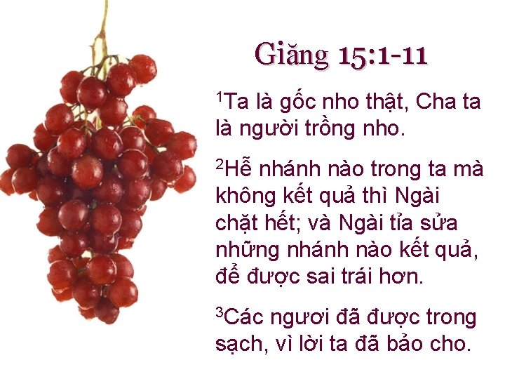 Giăng 15: 1 -11 1 Ta là gốc nho thật, Cha ta là người