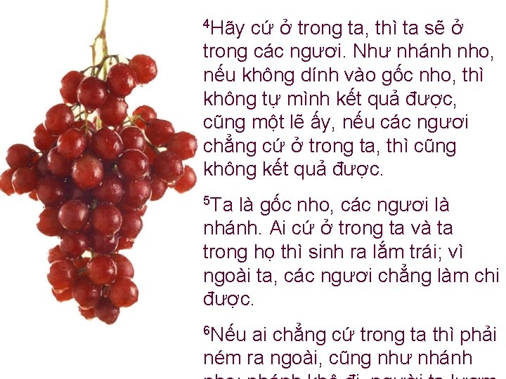 4 Hãy cứ ở trong ta, thì ta sẽ ở trong các ngươi. Như