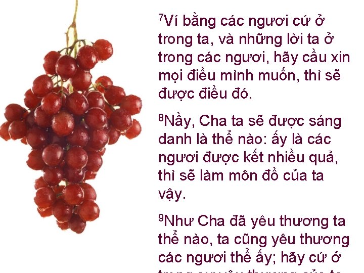 7 Ví bằng các ngươi cứ ở trong ta, và những lời ta ở