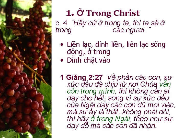 1. Ở Trong Christ c. 4 “Hãy cứ ở trong ta, thì ta sẽ