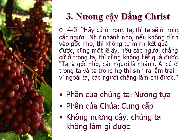 3. Nương cậy Đấng Christ c. 4 -5 “Hãy cứ ở trong ta, thì