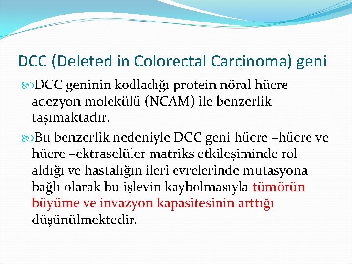 DCC (Deleted in Colorectal Carcinoma) geni DCC geninin kodladığı protein nöral hücre adezyon molekülü