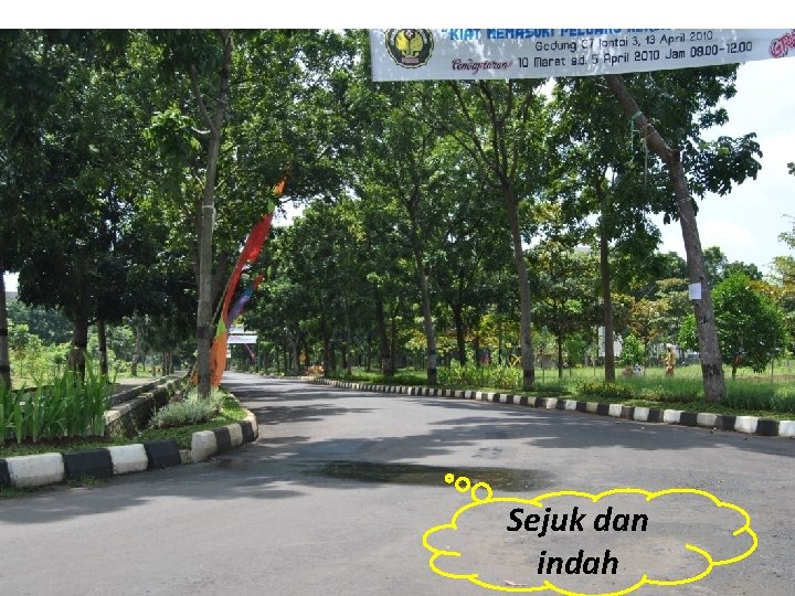 Sejuk dan indah 