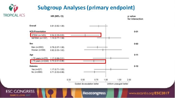 Subgroup Analyses (primary endpoint) 
