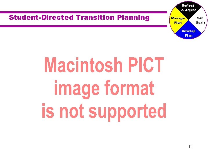 Student-Directed Transition Planning 0 