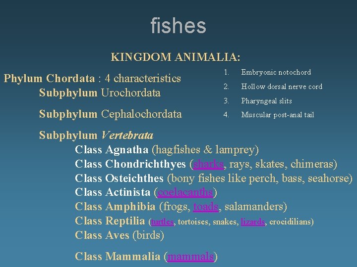 fishes KINGDOM ANIMALIA: Phylum Chordata : 4 characteristics Subphylum Urochordata Subphylum Cephalochordata 1. Embryonic