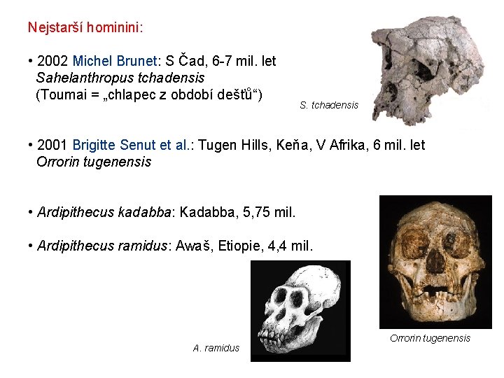 Nejstarší hominini: • 2002 Michel Brunet: S Čad, 6 -7 mil. let Sahelanthropus tchadensis