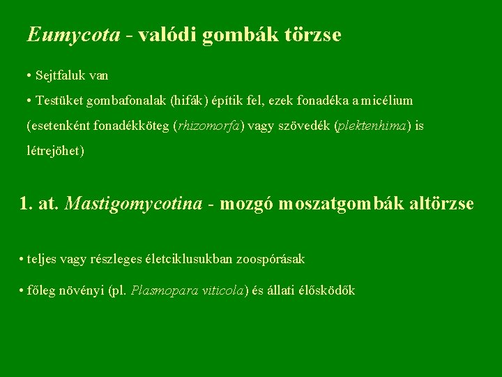 Eumycota - valódi gombák törzse • Sejtfaluk van • Testüket gombafonalak (hifák) építik fel,