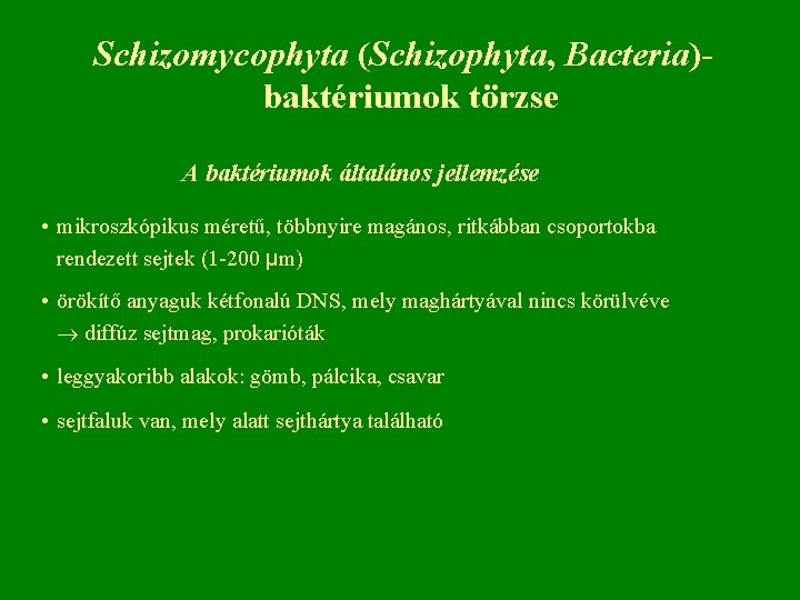 Schizomycophyta (Schizophyta, Bacteria)baktériumok törzse A baktériumok általános jellemzése • mikroszkópikus méretű, többnyire magános, ritkábban