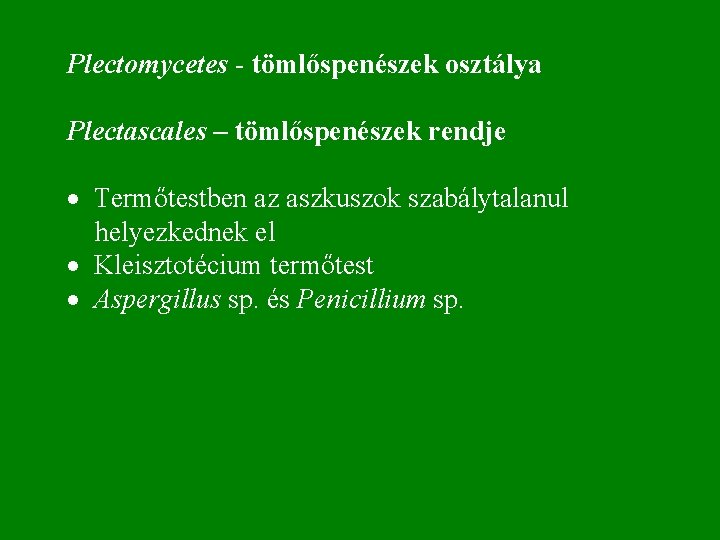 Plectomycetes - tömlőspenészek osztálya Plectascales – tömlőspenészek rendje · Termőtestben az aszkuszok szabálytalanul helyezkednek