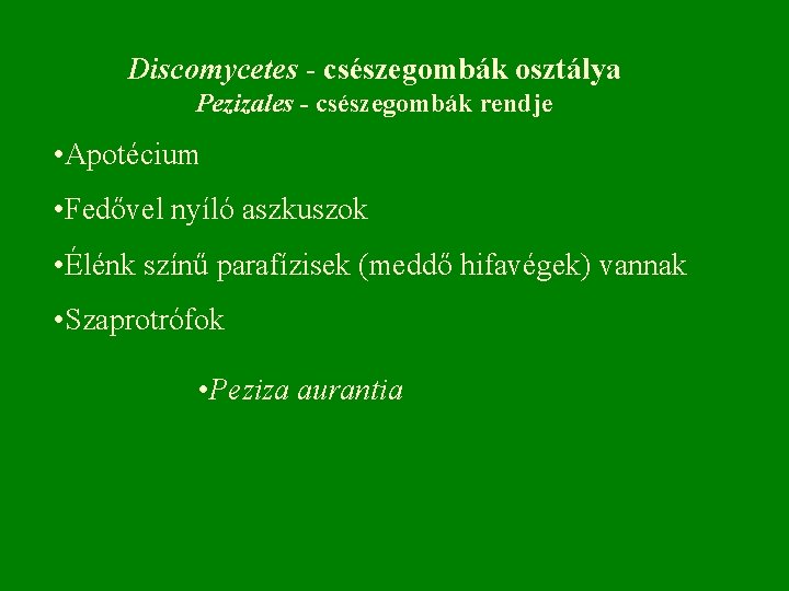 Discomycetes - csészegombák osztálya Pezizales - csészegombák rendje • Apotécium • Fedővel nyíló aszkuszok