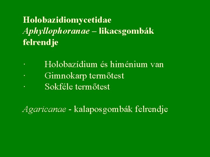 Holobazidiomycetidae Aphyllophoranae – likacsgombák felrendje · Holobazídium és himénium van · Gimnokarp termőtest ·