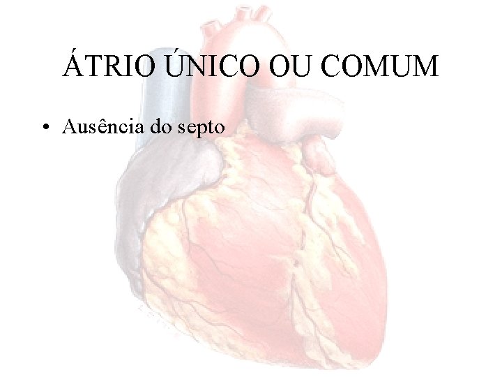 ÁTRIO ÚNICO OU COMUM • Ausência do septo 