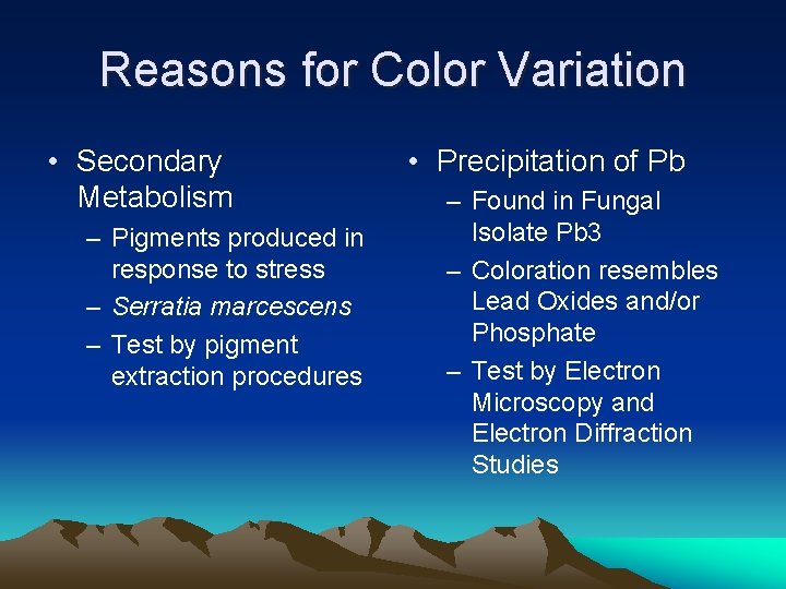 Reasons for Color Variation • Secondary Metabolism – Pigments produced in response to stress