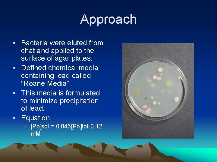 Approach • Bacteria were eluted from chat and applied to the surface of agar