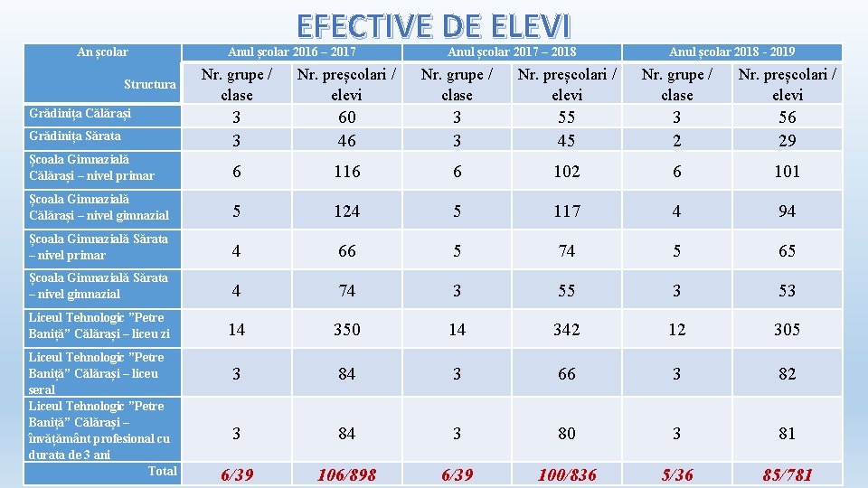 An școlar EFECTIVE DE ELEVI Anul școlar 2016 – 2017 Anul școlar 2017 –