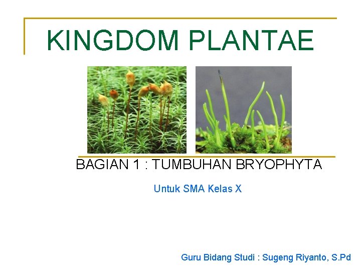 KINGDOM PLANTAE BAGIAN 1 : TUMBUHAN BRYOPHYTA Untuk SMA Kelas X Guru Bidang Studi