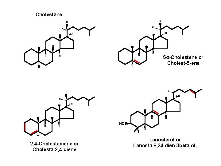 Cholestane H H H H 5α-Cholestene or Cholest-5 -ene H H HO H H