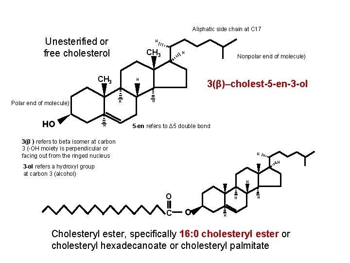 Aliphatic side chain at C 17 Unesterified or free cholesterol H CH 3 HO