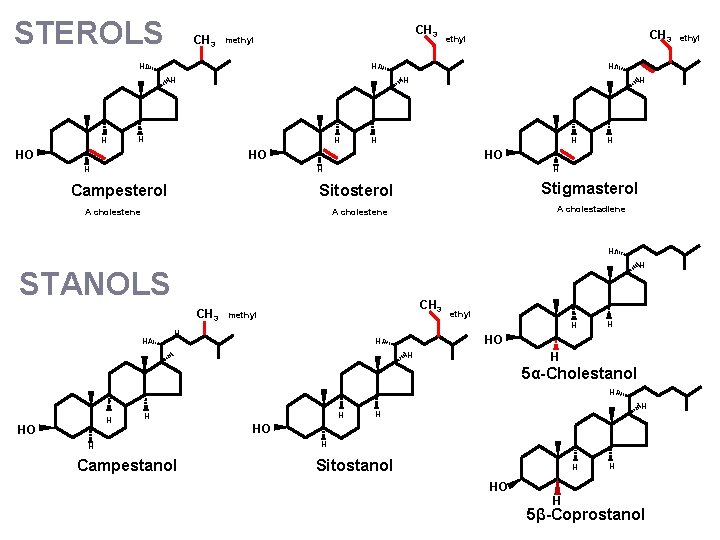 STEROLS CH 3 methyl H H CH 3 ethyl H H HO H HO