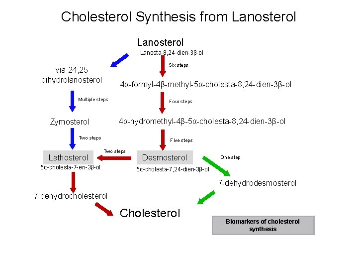 Cholesterol Synthesis from Lanosterol Lanosta-8, 24 -dien-3β-ol Six steps via 24, 25 dihydrolanosterol 4α-formyl-4β-methyl-5α-cholesta-8,