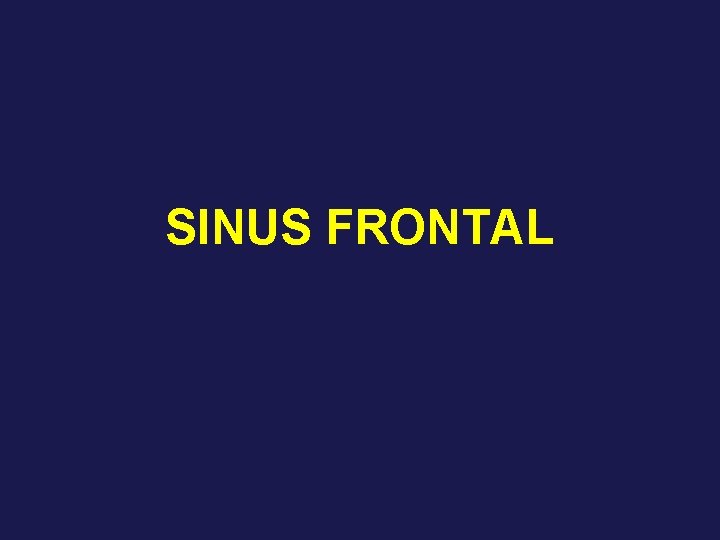 SINUS FRONTAL 