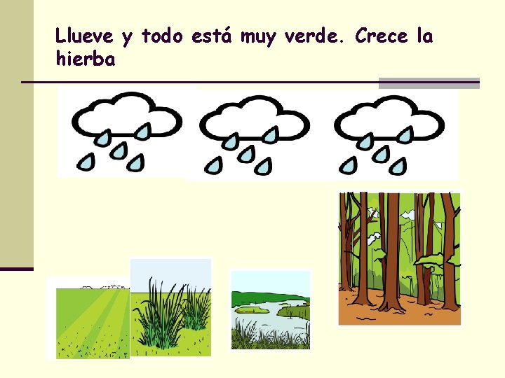 Llueve y todo está muy verde. Crece la hierba 