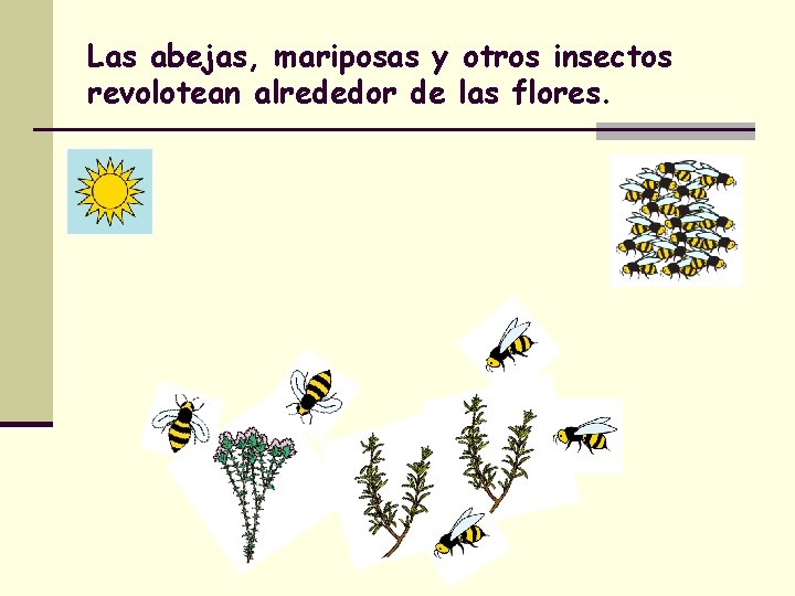 Las abejas, mariposas y otros insectos revolotean alrededor de las flores. 