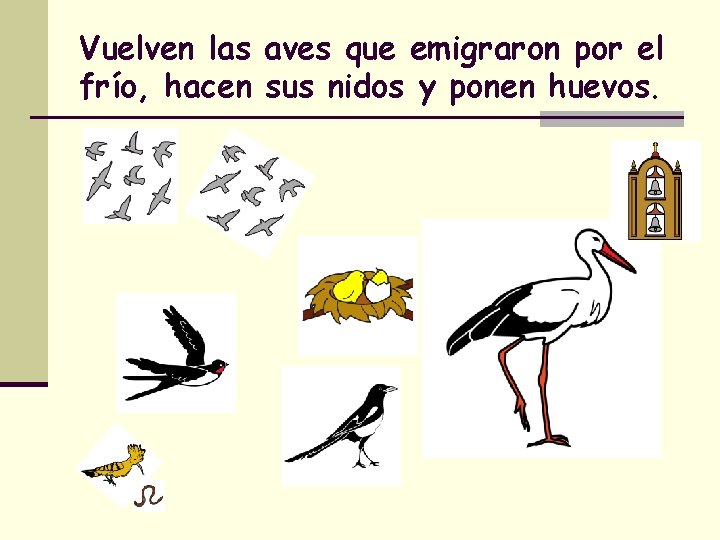 Vuelven las aves que emigraron por el frío, hacen sus nidos y ponen huevos.