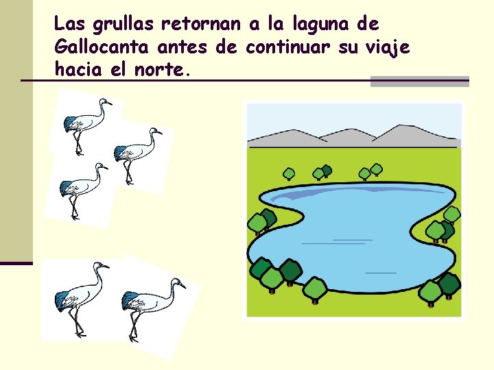 Las grullas retornan a la laguna de Gallocanta antes de continuar su viaje hacia