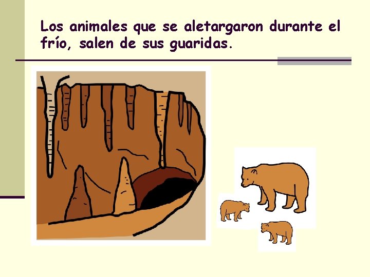 Los animales que se aletargaron durante el frío, salen de sus guaridas. 
