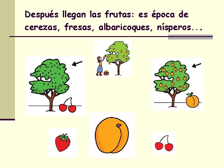 Después llegan las frutas: es época de cerezas, fresas, albaricoques, nísperos. . . 
