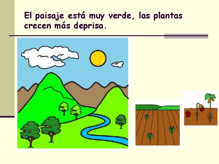 El paisaje está muy verde, las plantas crecen más deprisa. 