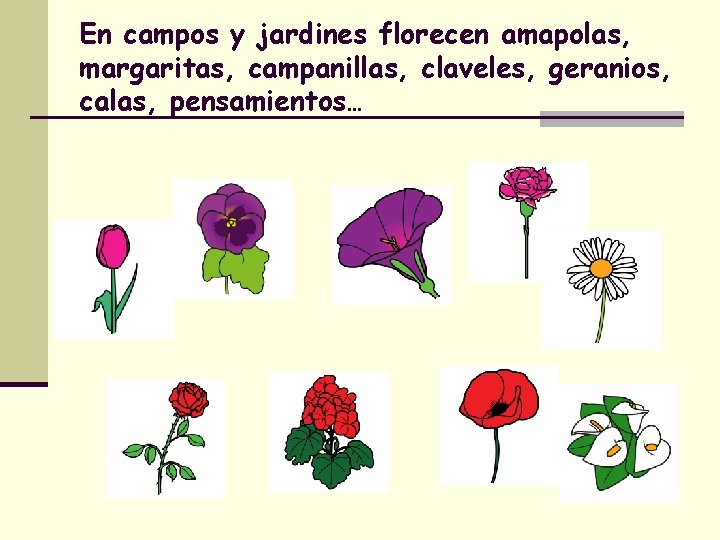 En campos y jardines florecen amapolas, margaritas, campanillas, claveles, geranios, calas, pensamientos… 