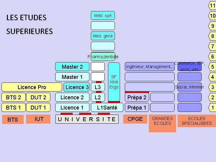 11 LES ETUDES 10 Méd. spé 9 SUPERIEURES 8 Méd. géné 7 6 Pharma,